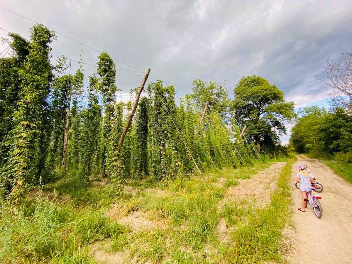 Greenvalleyglamping Sesce Pri Preboldu Zewnętrze zdjęcie
