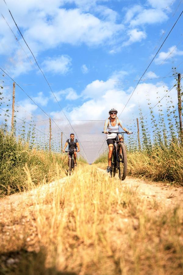 Greenvalleyglamping Sesce Pri Preboldu Zewnętrze zdjęcie